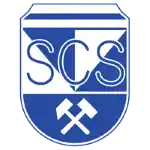 施瓦兹logo